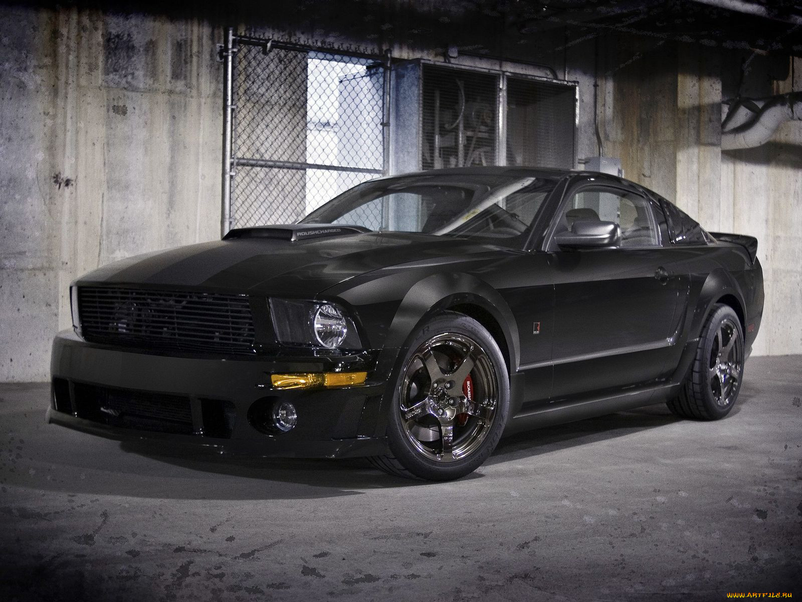 , mustang